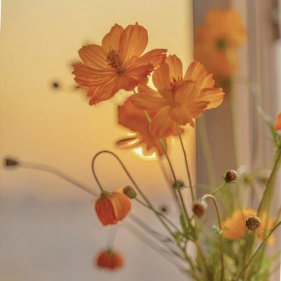 kaiyun全站APP登录官网