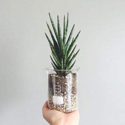 易倍app官网下载