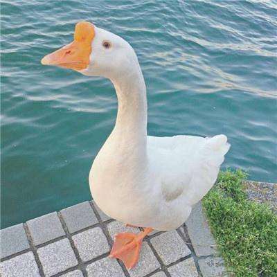 JN江南·娱乐最新官网入口