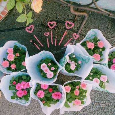 香港2023正版免费资料手机app下载