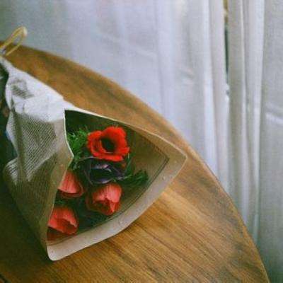 火狐app最新登录